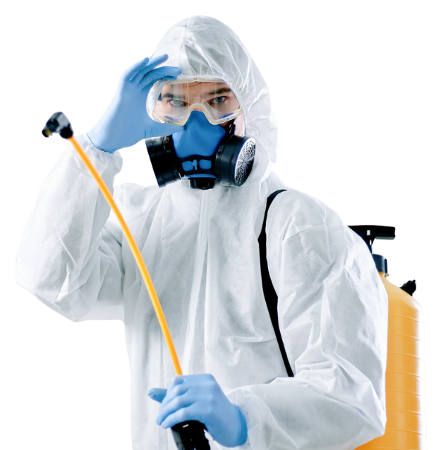 Saneco Italia - Disinfestatore professionista