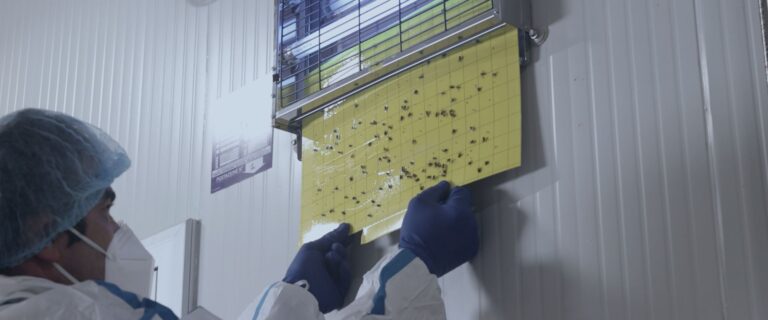 Controllo Infestanti