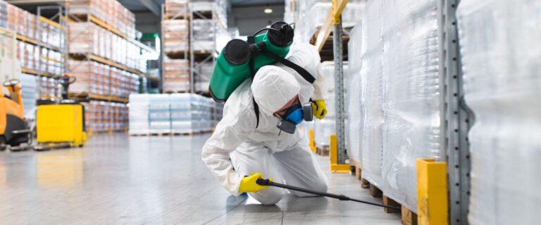 Disinfestazione