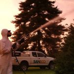 Saneco Italia - Disinfestazioni per aziende, privati e agricoltura